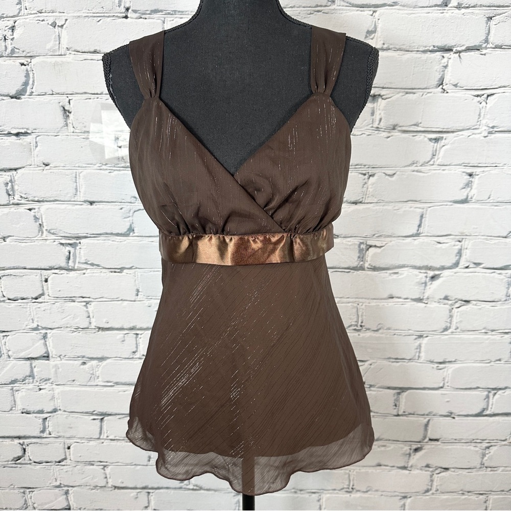 Vintage Y2k I.N. San Francisco Chiffon Babydoll Top Brown Sheer Fairy Whimsygoth